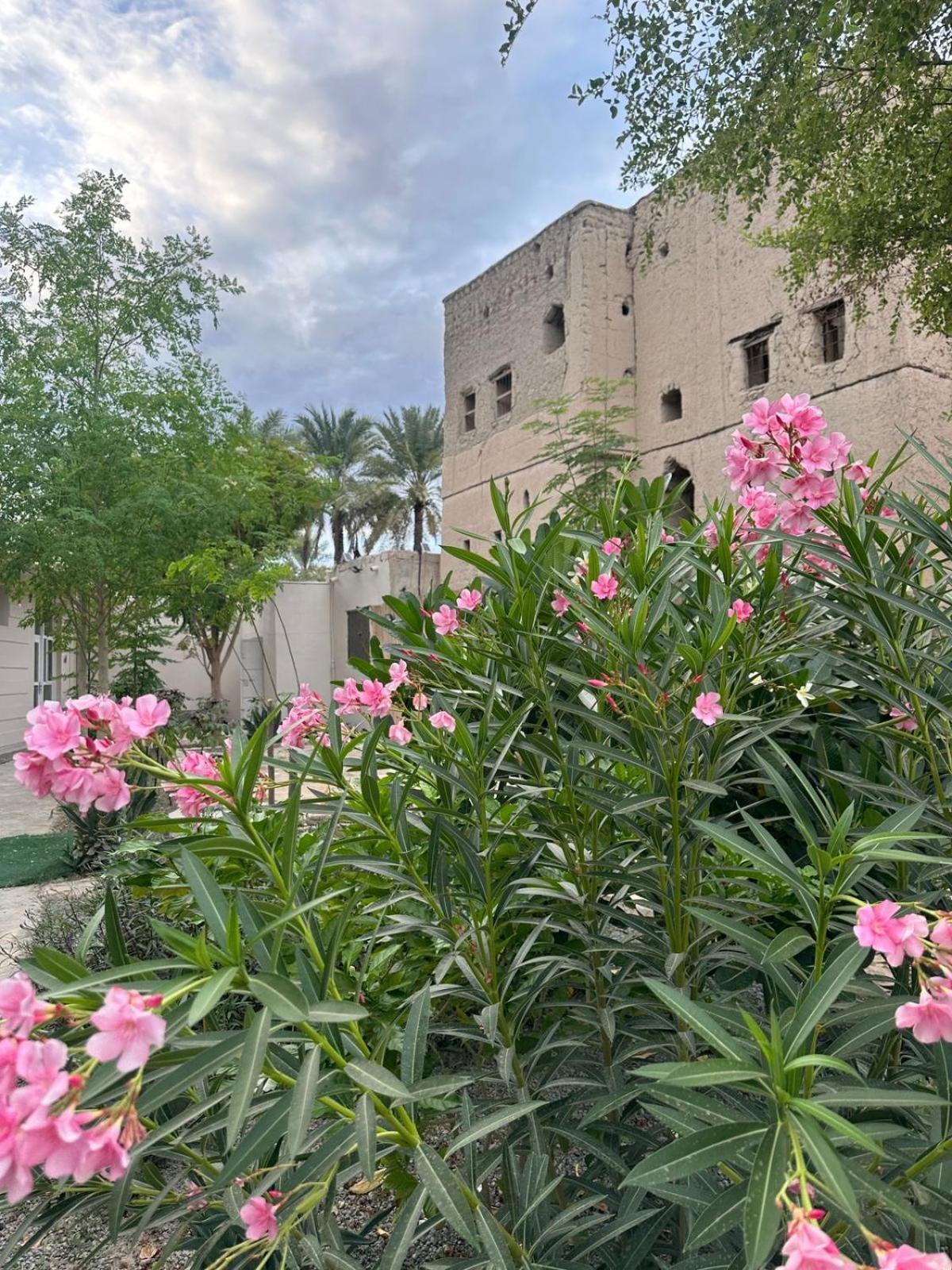 Vakantieboerderij Al- Aqyr Rest Garden أستراحة حارة العقر *